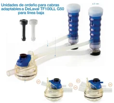 Punto de ordeño completo adapt. Delaval G50 con colector Linea Baja TF100
