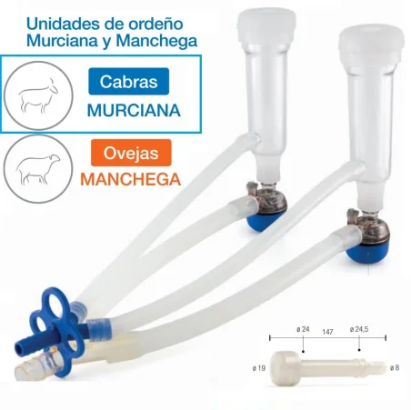 Punto de ordeño completo para cabras murcianas y ovejas manchegas