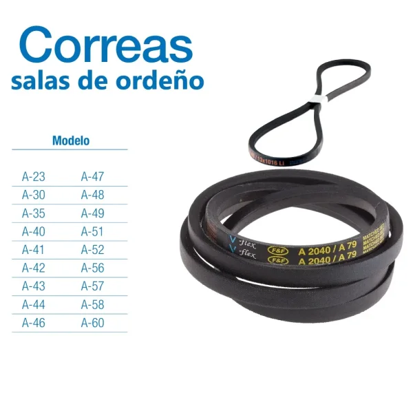 Correa para grupos de vacio salas de ordeño