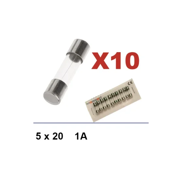 Caja de 10 fusibles 5x20 1A