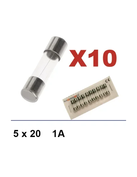 Caja de 10 fusibles 5x20 1A
