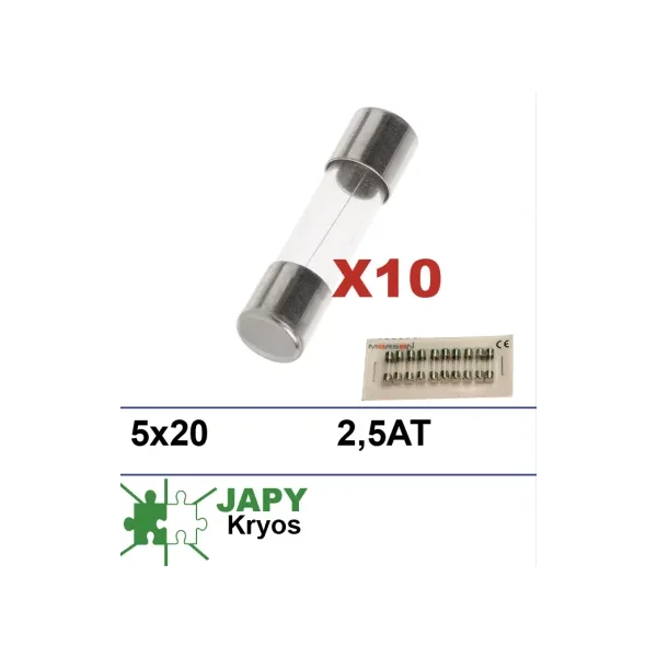10 fusibles 5x20mm 2.5AT para lavados Japy Kryos