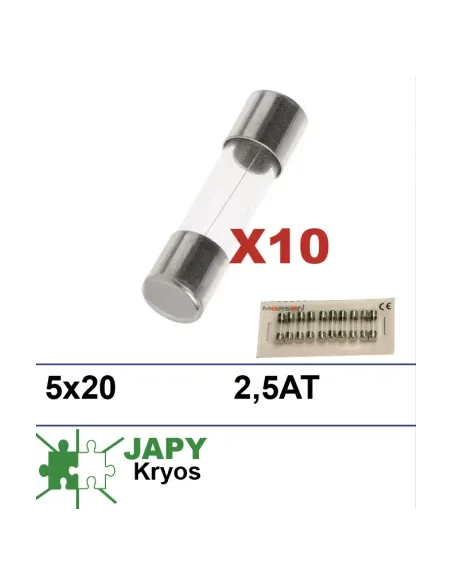 10 fusibles 5x20mm 2.5AT para lavados Japy Kryos
