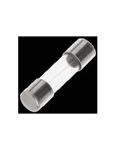 10 fusibles 5x20mm 10A para regulación Packo