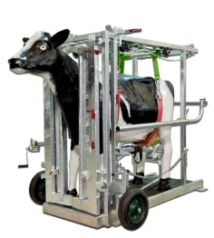 Potro de Inmovilizacion para vacas 