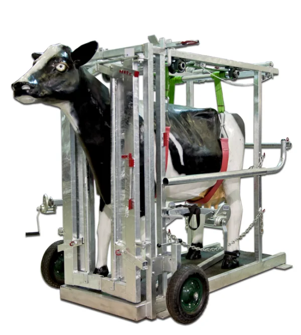 Potro de Inmovilizacion para vacas 
