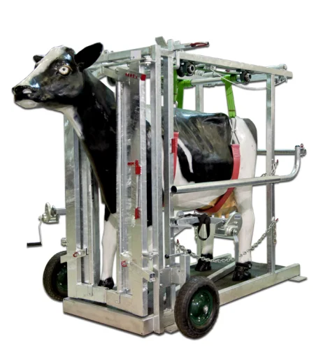 Potro de Inmovilizacion para vacas 