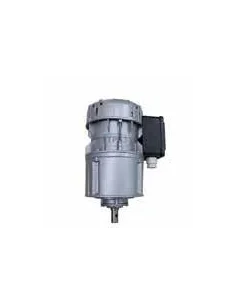 Motorreductor R1C225H2BC 30vpm 230V (Packo)