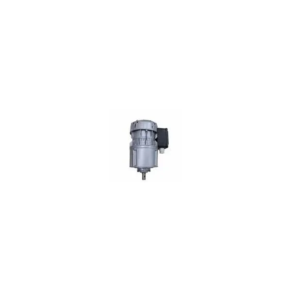 Motorreductor R1C225H2BC 30vpm 230V (Packo)