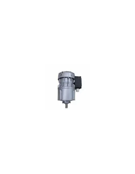 Motorreductor R1C225H2BC 30vpm 230V (Packo)