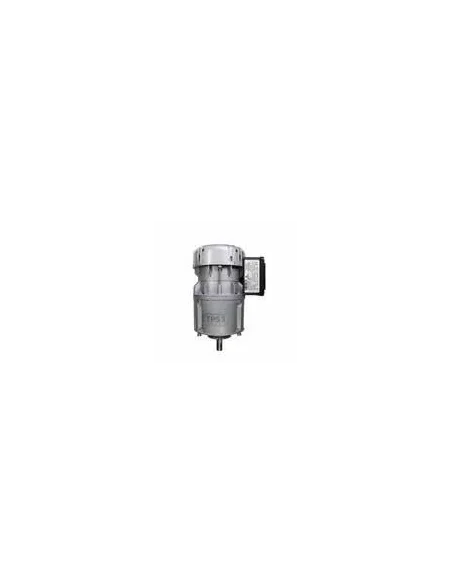 Motorreductor R1C225H2BC 21vpm 230V Agujero de pasador 5,2mm (Packo)