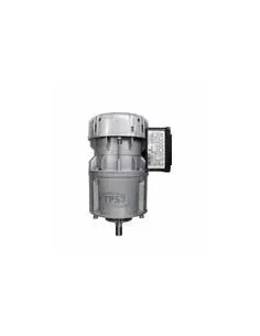 Motorreductor R1C225H2BC 21vpm 230V (Delaval)