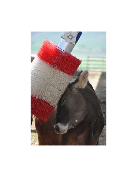 Rodillo de limpieza para vacas -0