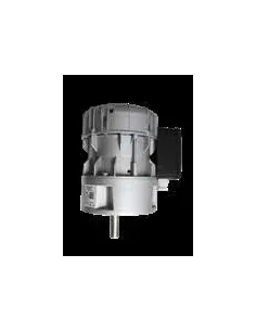 Motorreductor R1C225F6BC 21vpm 230V (Alfa Laval / Prominox)