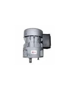 Motorreductor R1C225F2BC 21vpm 230V (Milkplan, Charriau, TPS3)