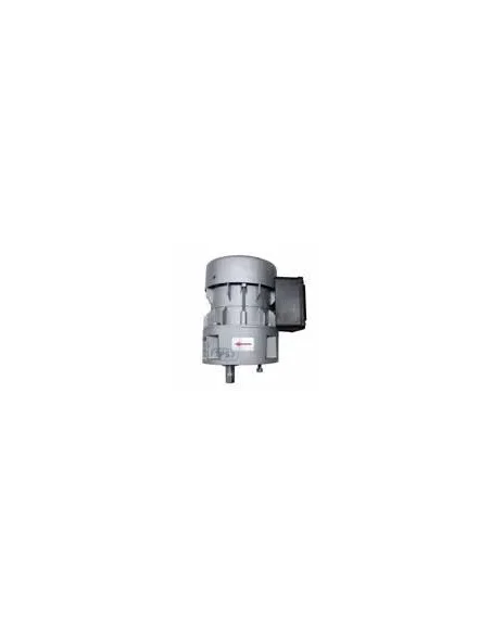 Motorreductor R1C225F2BC 21vpm 230V (Milkplan, Charriau, TPS3)