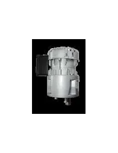 Motorreductor R1C225F2BC 48vpm 230V (Packo, Fic, Mueller, Fabdec)
