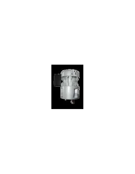 Motorreductor R1C225F2BC 48vpm 230V (Packo, Fic, Mueller, Fabdec)