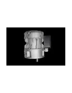 Motorreductor R1C225F4BC 30vpm 230V (Packo)