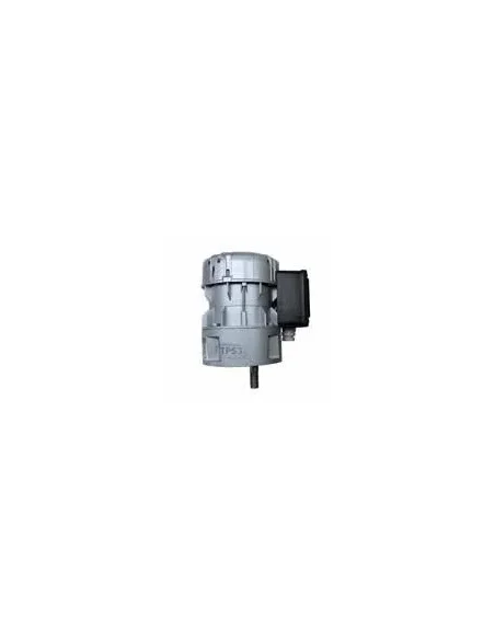 Motorreductor R1C225F6BC 21vpm 230V (Etscheid)