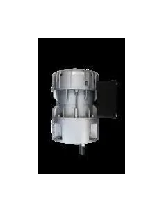 Motorreductor R1C225F2BC 30vpm 230V (Fontsere)
