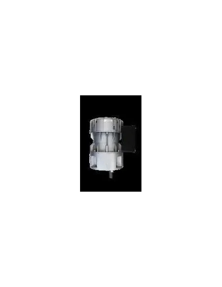 Motorreductor R1C225F2BC 30vpm 230V (Fontsere)