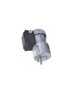 Motorreductor R1C225M2BC 30-36vpm 230V (Mueller)