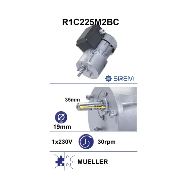Motorreductor R1C225M2BC 30-36vpm 230V (Mueller)