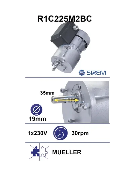 Motorreductor R1C225M2BC 30-36vpm 230V (Mueller)