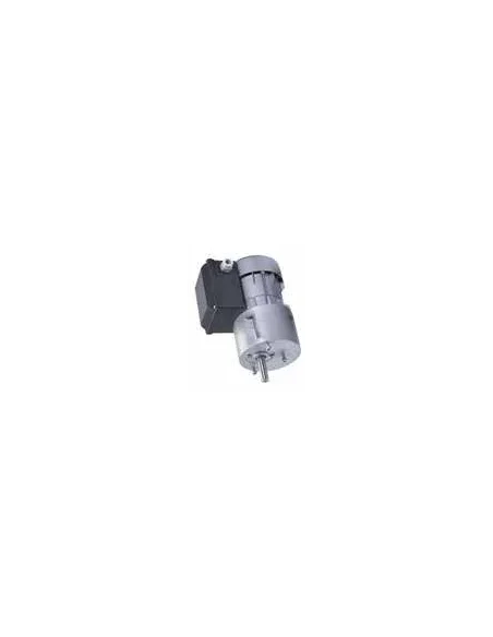 Motorreductor R1C245M2BC 21rpm 230V (Milkplan)