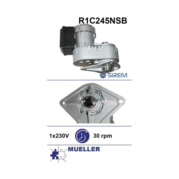 Motorreductor R1C245NSB 32vpm 230V (Mueller)