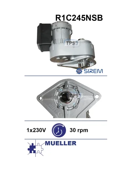 Motorreductor R1C245NSB 32vpm 230V (Mueller)
