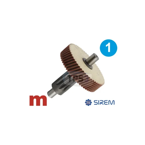 1er engranaje para MR Sirem tipo PP 23rpm