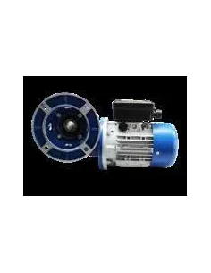 Motorreductor RMI 63FL 21rpm (Packo)