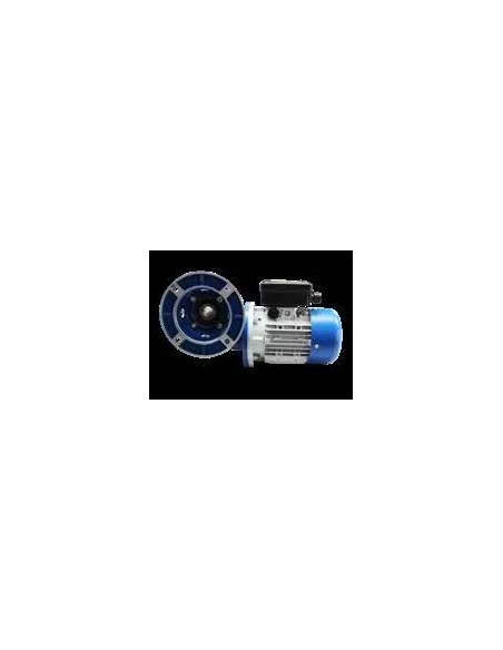 Motorreductor RMI 63FL 21rpm (Packo)