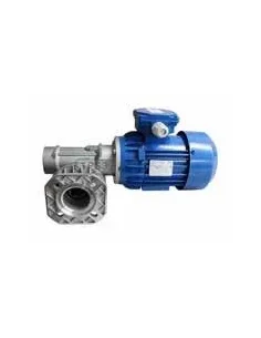 Motorreductor de sustitucion 25vpm 400V (Fic)