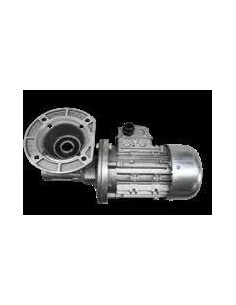 Motorreductor tipo RMI 40 (Fic)