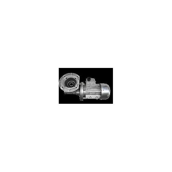 Motorreductor tipo RMI 40 (Fic)