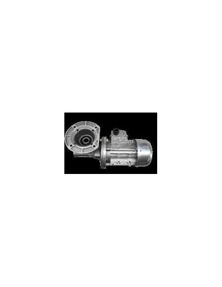 Motorreductor tipo RMI 40 (Fic)