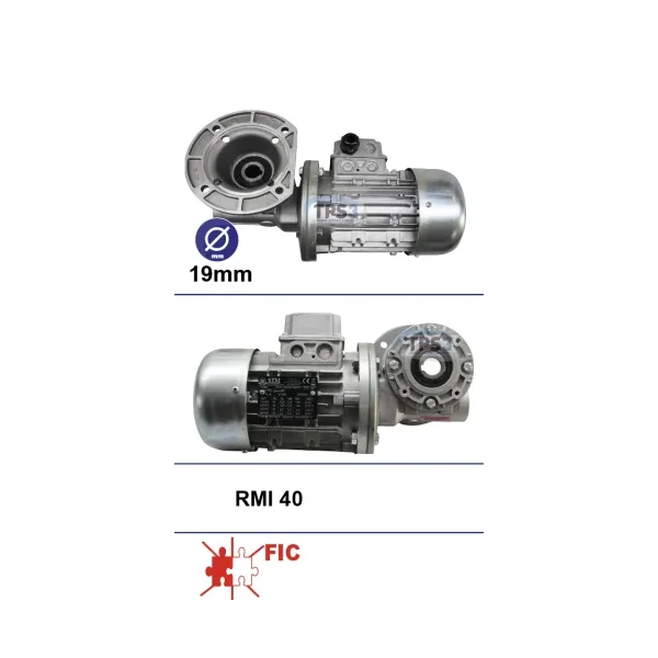Motorreductor tipo RMI 40 (Fic)