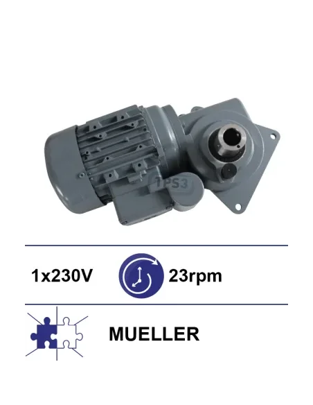 Motorreductor 23vpm 230V (Mueller)