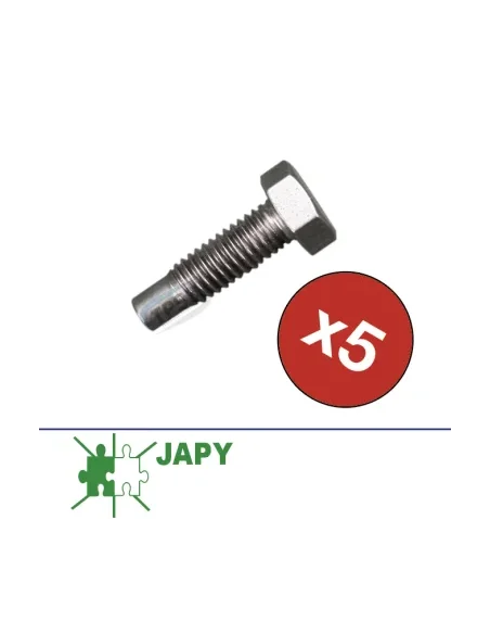 Tornillo de presion agitador para taques Japy (bolso de 5 ud.)