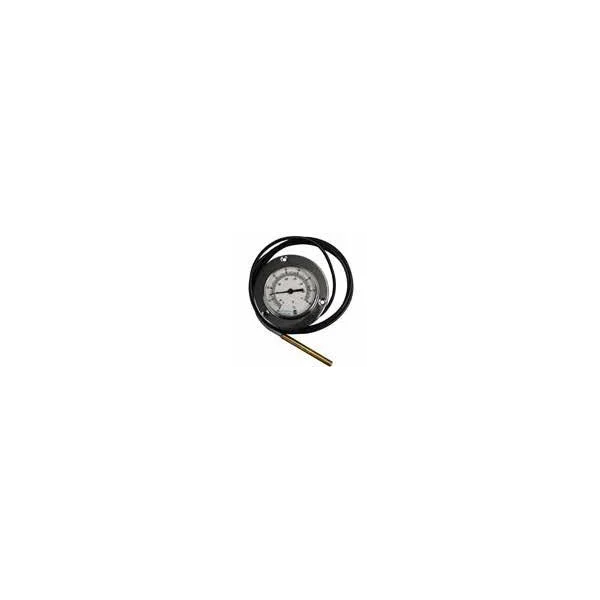 Termómetro Ø63 0-80°C para tanques Packo (para ser embebido)