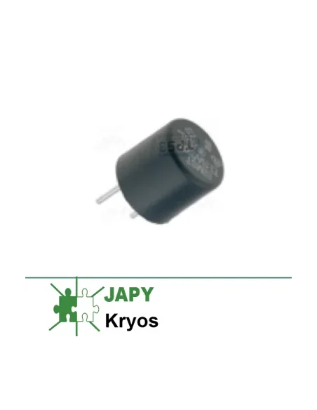 Fusible 100mAT (tarjetas Japy Expert)