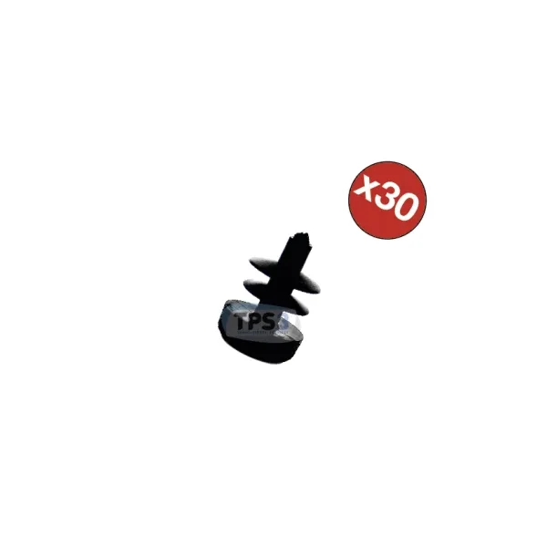 Tapones CL2 - paquete de 30 (Prominox/ Pro Inox)
