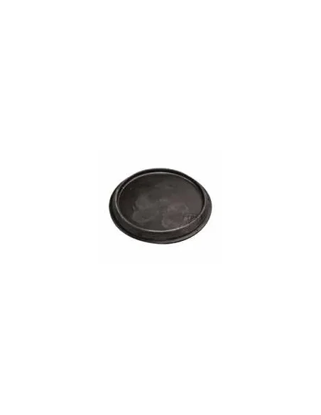 Tapon para cubrir la sonda del termostato, tanques RFT y SCO (Alfa Laval, Prominox)