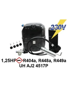 Compresseur UH AJ2 4517P 1.25 ch 3x400V