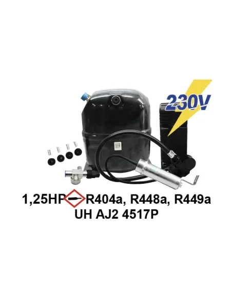Compresseur UH AJ2 4517P 1.25 ch 3x400V