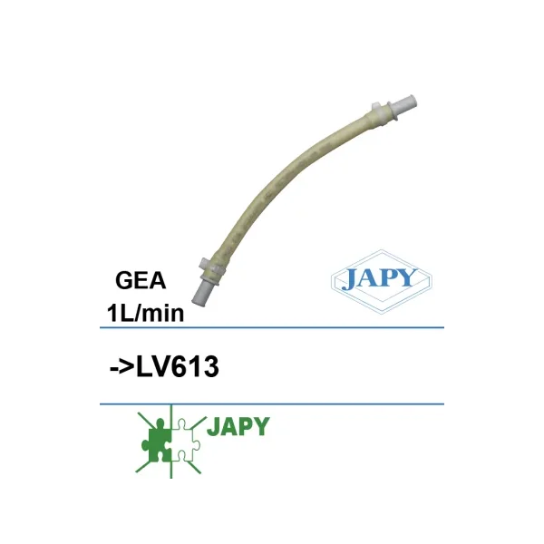 Tubo interior con boquilla para bomba dosificadora LV613, 230V 1L/min (Japy)