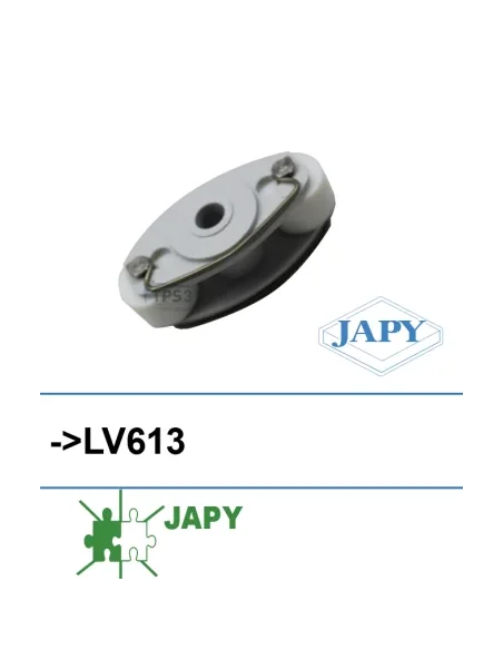 Portarrollos + rodillos para bomba dosificadora LV613, 230V 1L/min (Japy)
